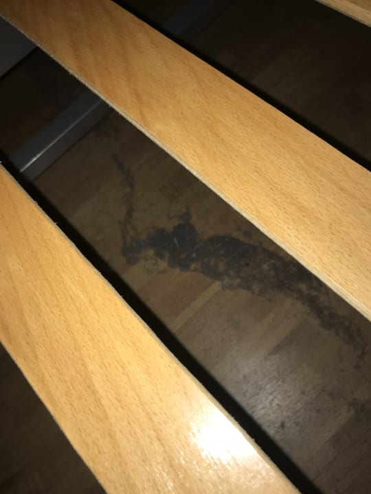 Zimmer Ferien-Domizil Visser