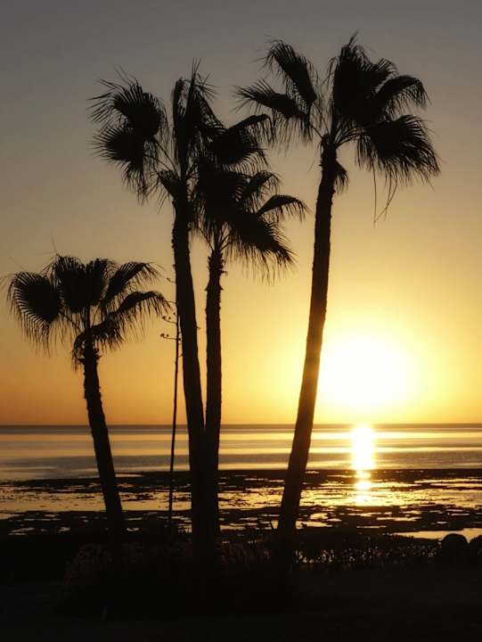 Ausblick Mövenpick Resort El Quseir