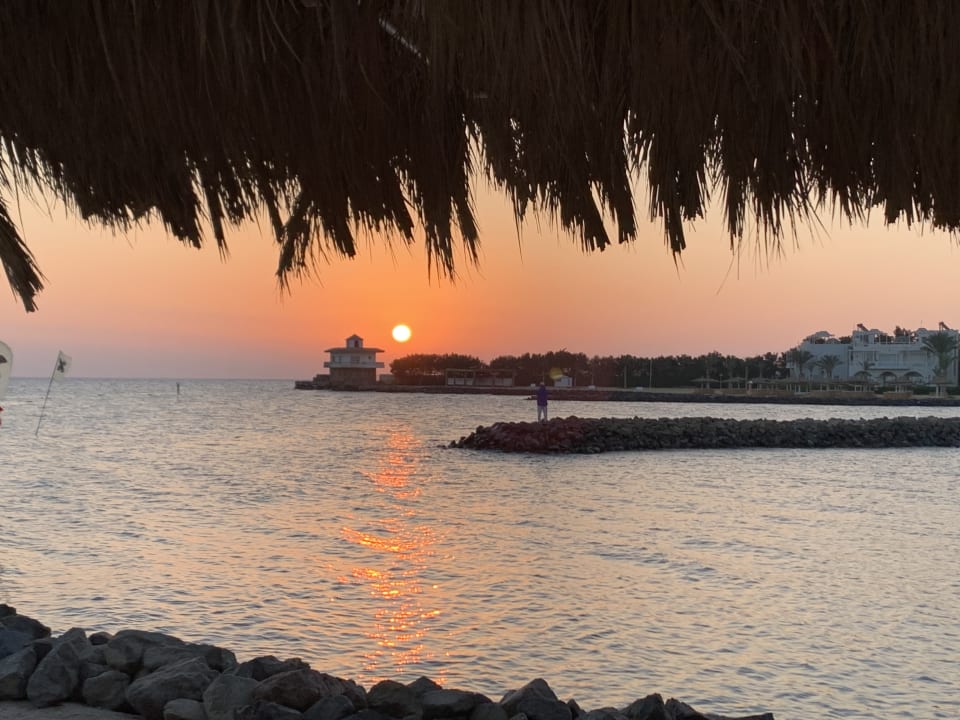 Ausblick Desert Rose