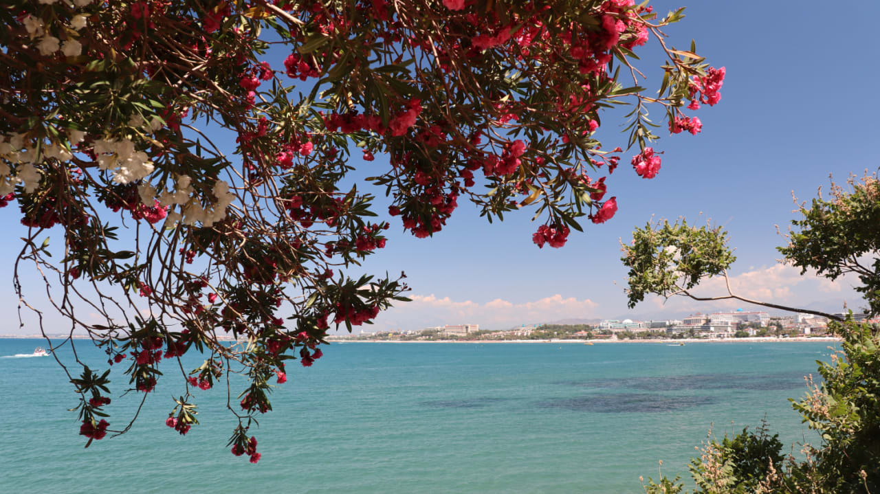 Ausblick Arum Barut Collection