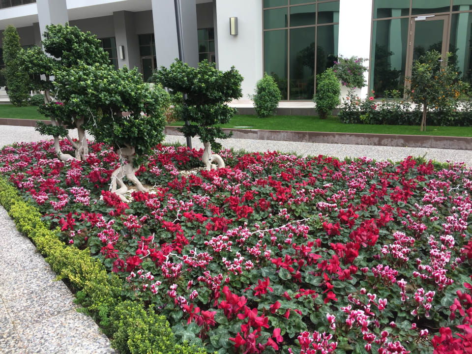 Gartenanlage Acanthus Cennet Barut Collection