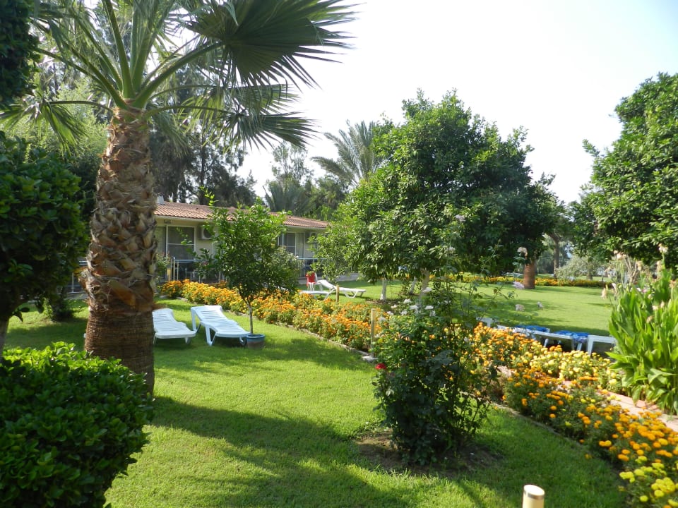 Weg zum Strand Seher Kumköy Star Resort & Spa