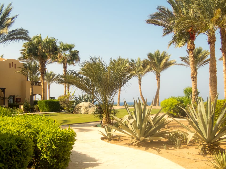 Gartenanlage Steigenberger Coraya Beach - Adults only