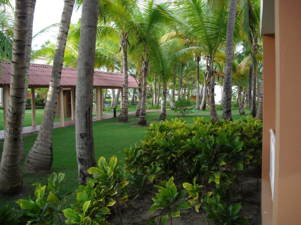 Ausblick zum Strand Hotel Grand Palladium Palace Resort, Spa & Casino