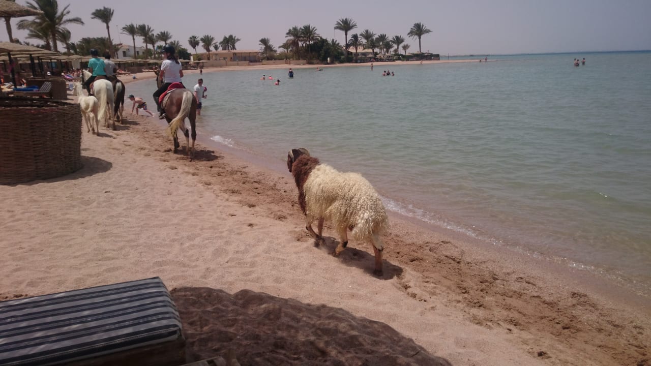 Strand Golden Beach Resort