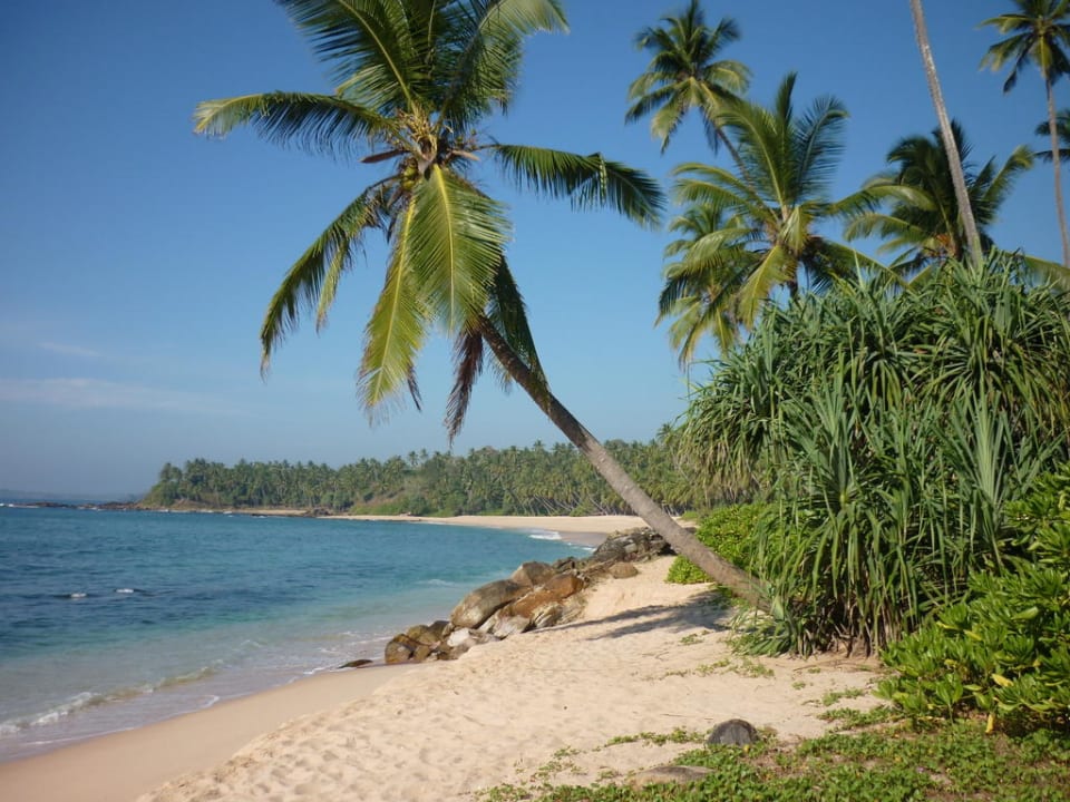 Nächster Strand (westlich) Palm Paradise Cabanas