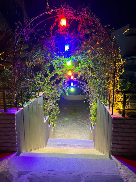 Gartenanlage Dream World Palace Hotel