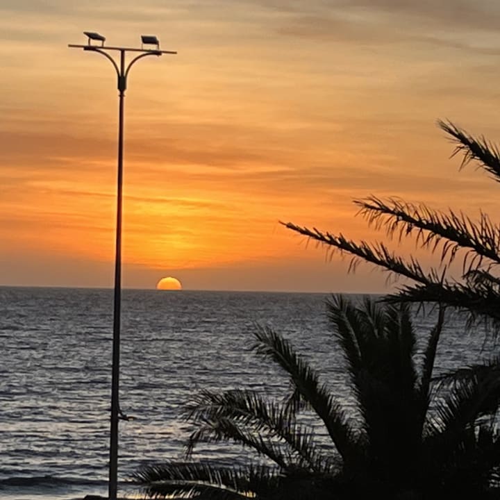 Ausblick Hipotels Dunas Cala Millor