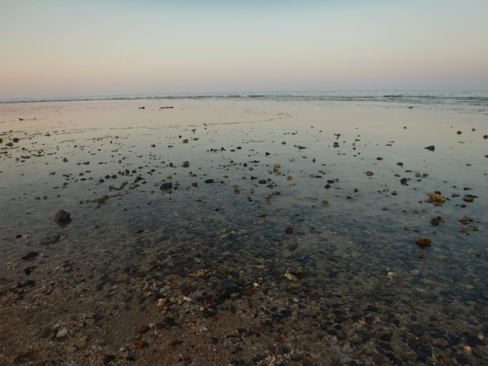 Strand Serenity Alpha Beach