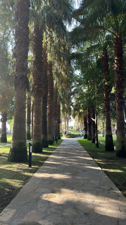 Gartenanlage Blue Waters Club