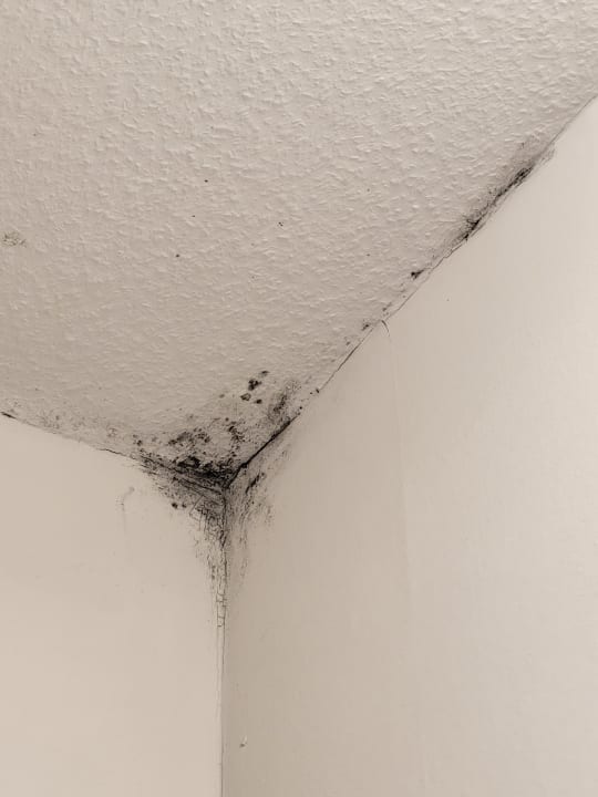 Zimmer Hotel Weisses Ross