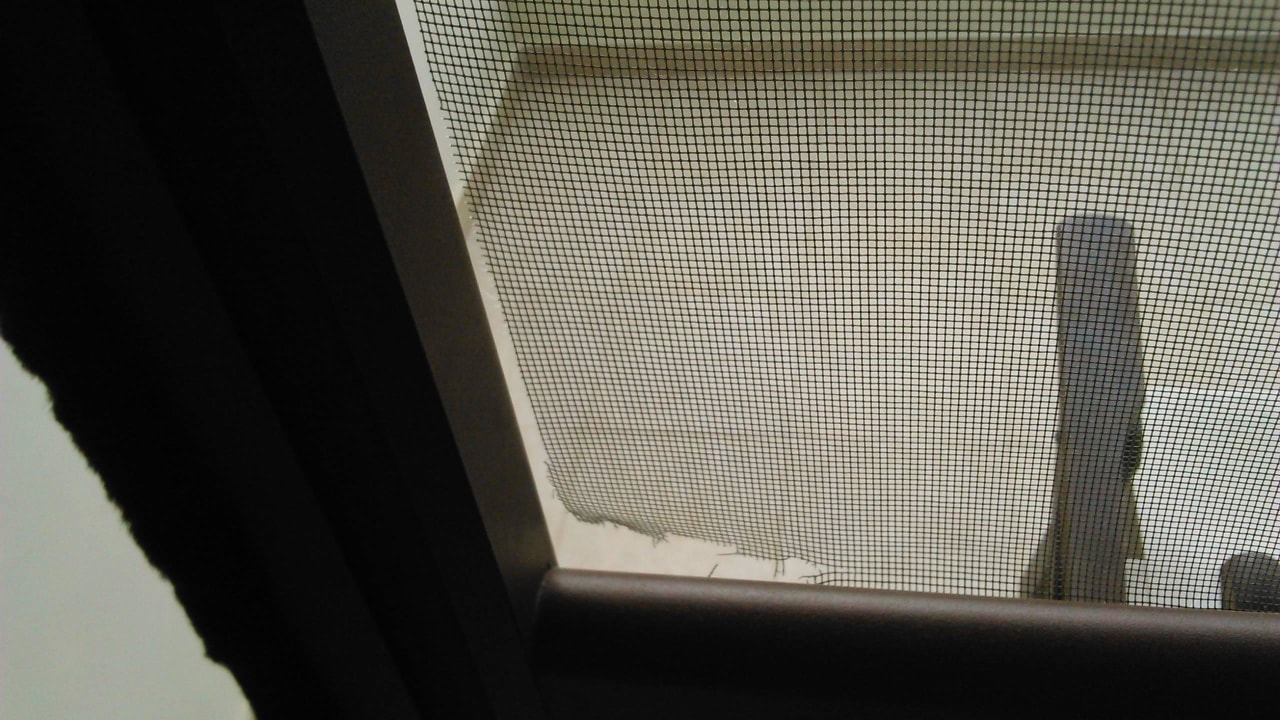 Defektes Insektenschutzgitter Alexandra Golden Boutique - Adults only