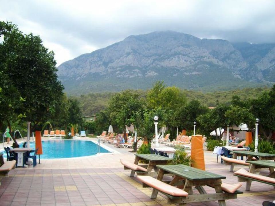 Poolbereich Armas Gül Beach