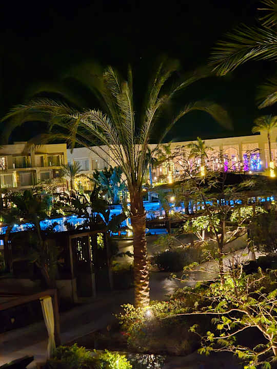 Pool Steigenberger Resort Ras Soma