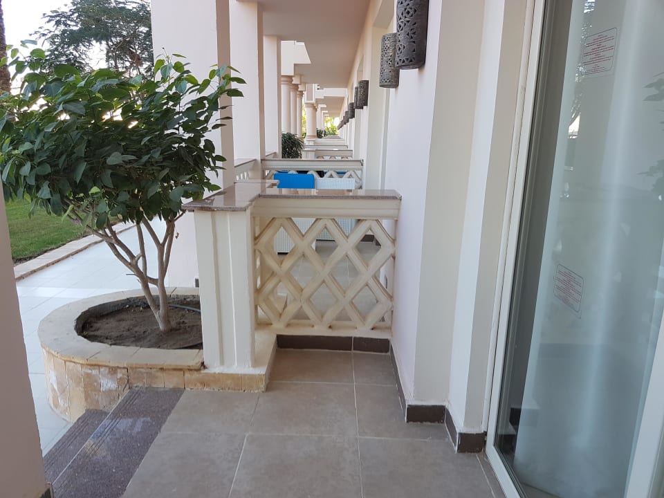 Terrasse  Pickalbatros Palace Resort