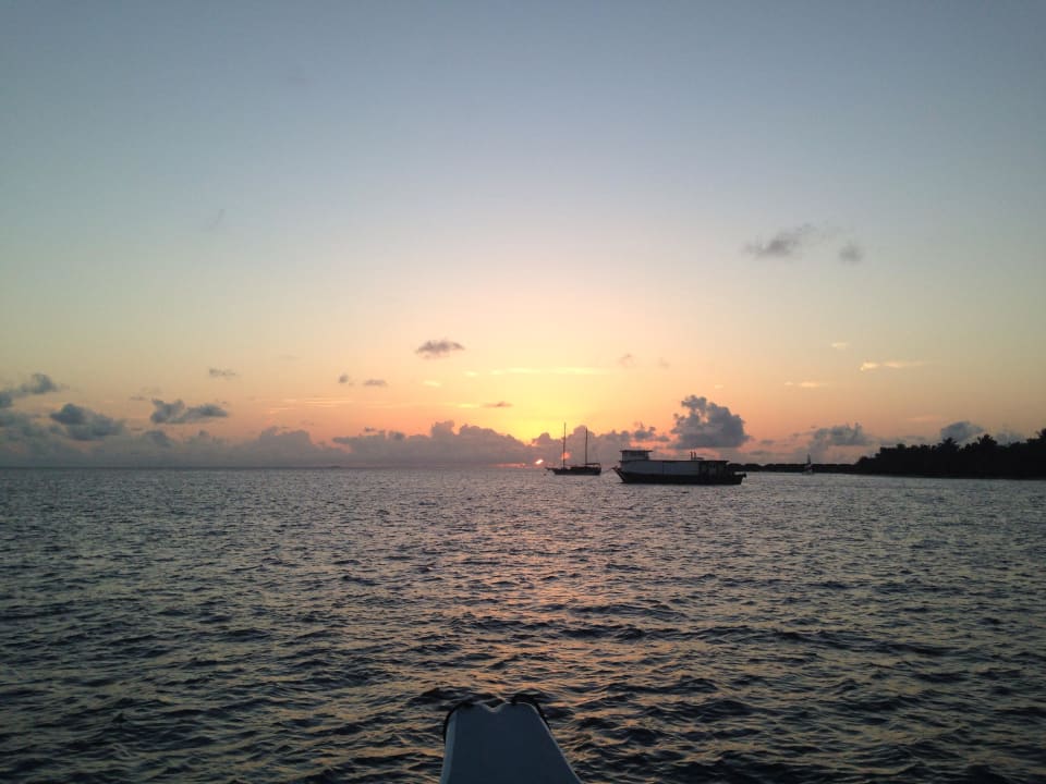 Sunset-Punch Cruise Vilamendhoo Island Resort & Spa