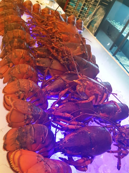 Gastro Gloria Serenity Resort