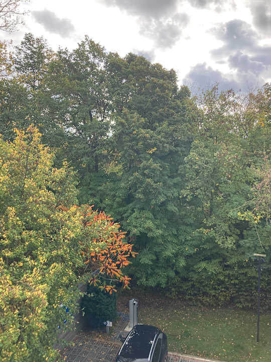 Ausblick Best Western Hotel Windorf