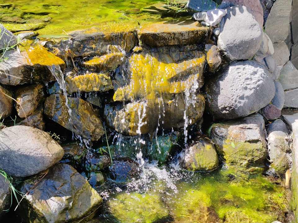 Gartenanlage allsun Hotel Lucana