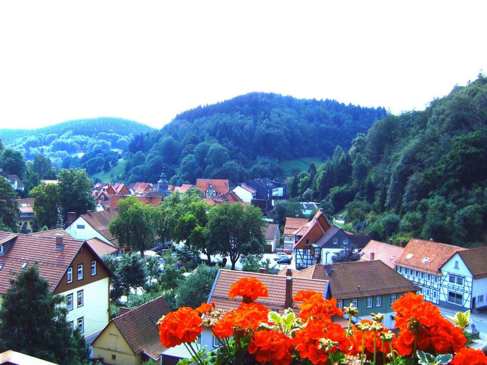 Blick auf Bad Grund vom Hotel-Balkon Hotel-Pension Waldhaus
