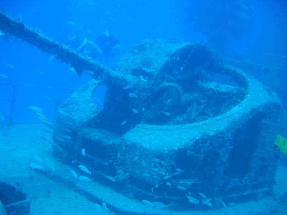 Wrak-Tauchen Iberostar Origin Taínos