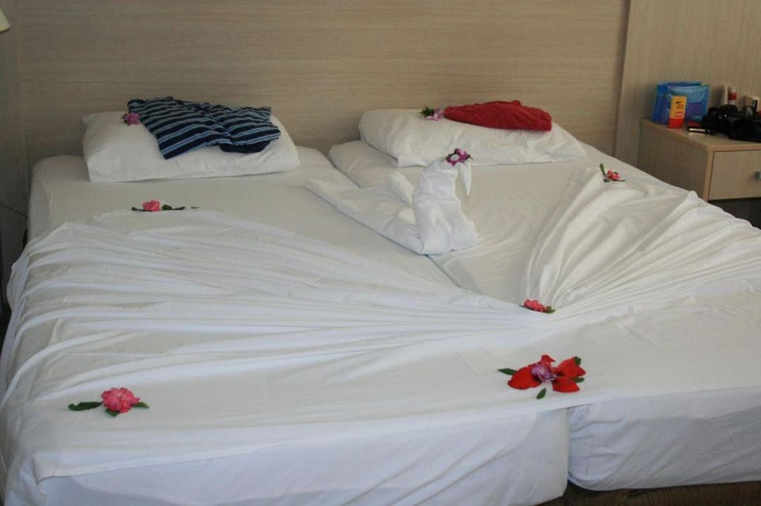 in unserem Zimmer Süral Saray Hotel