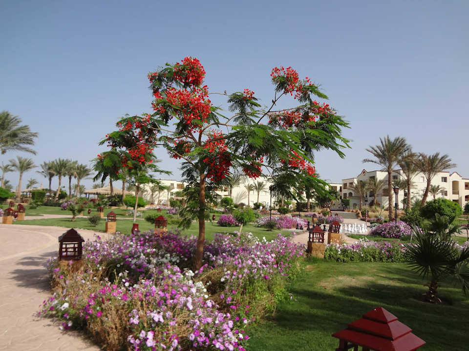 Очень красиво и главное чисто Regency Plaza Aqua Park & Spa