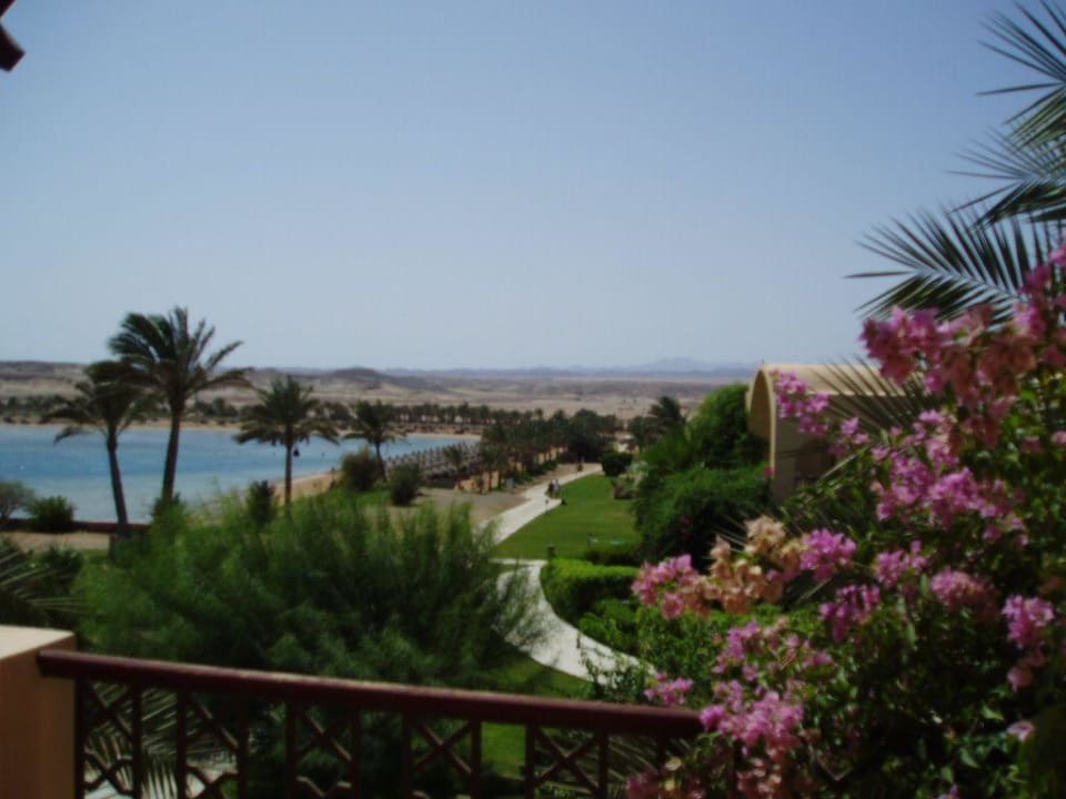 Garten und Strand Steigenberger Coraya Beach - Adults only