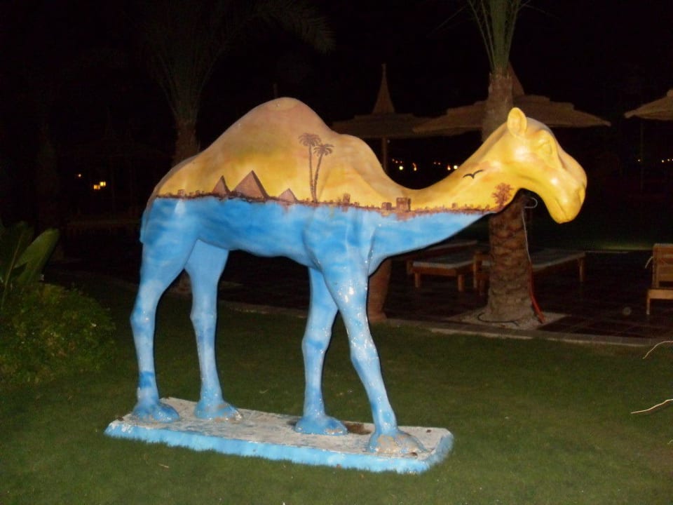 Das Foto macht jeder Pickalbatros Palace Resort
