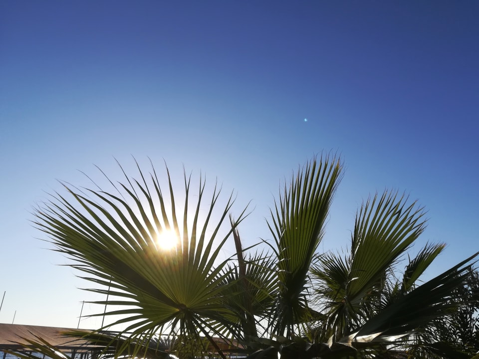 Gartenanlage Seher Kumköy Star Resort & Spa