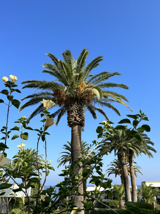 Gartenanlage Aldiana Club Rocca Nettuno Calabria