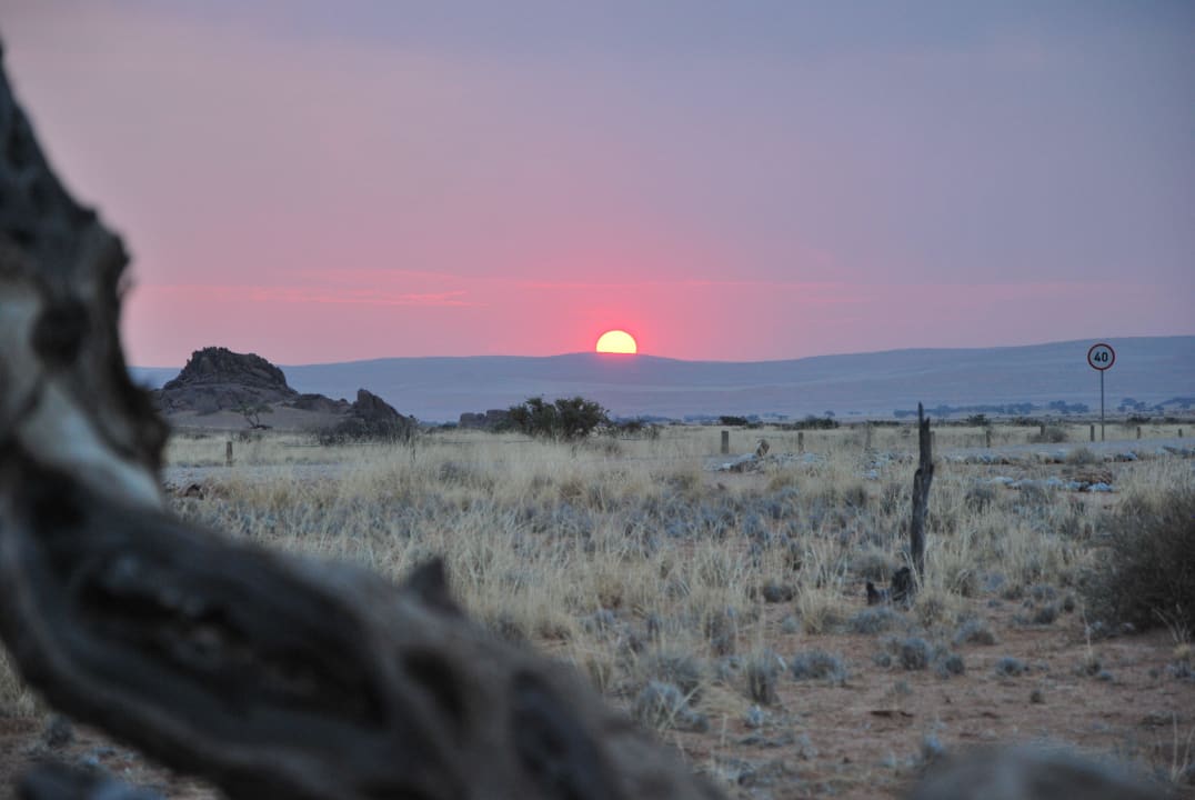 Desert Camp Desert Camp