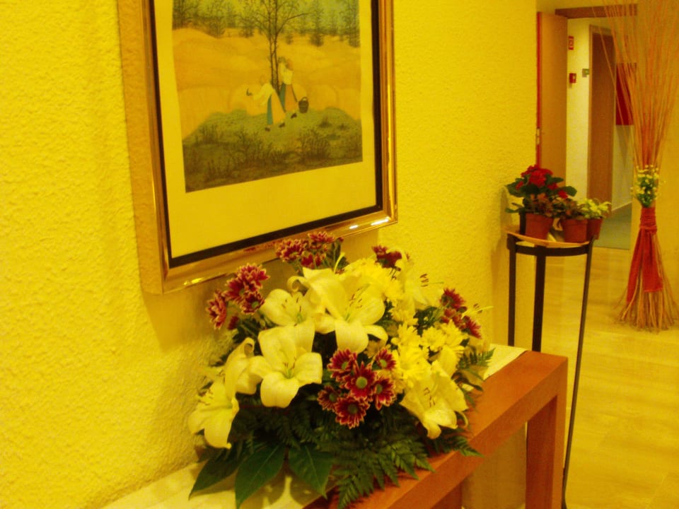 Wieder frische Blumen Valentin Somni Hotel & Suites