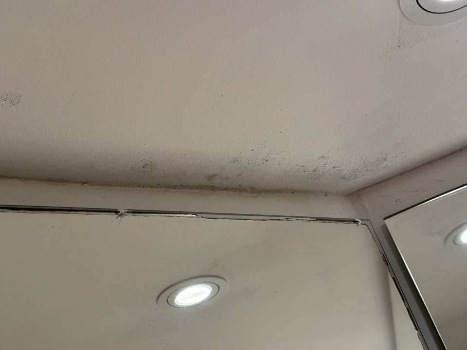 Zimmer Iberostar Selection Albufera Park