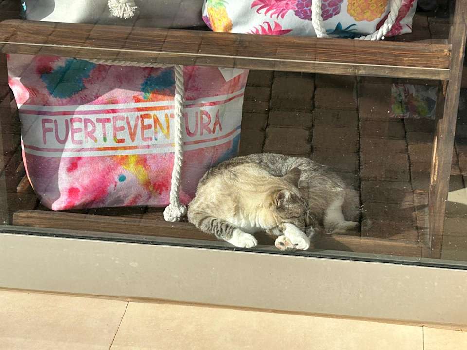 Sonstiges R2 Romantic Fantasia Suites - Adults only