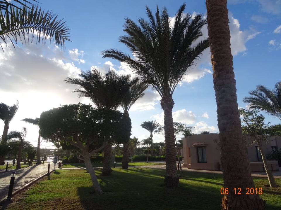 Gartenanlage Pharaoh Azur Resort