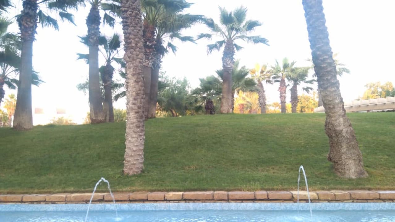 Ogród Monachus Family Resort Sorgun