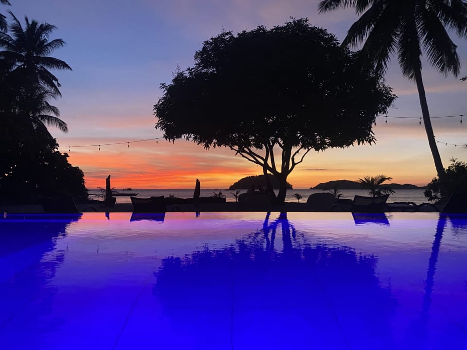 Pool Amila Dive Beach Resort