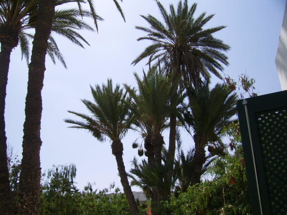 Terrassenausblick Hotel Sangho Club Zarzis