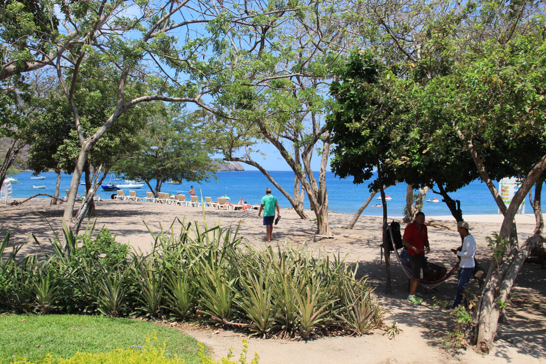 Strand Dreams Las Mareas Costa Rica