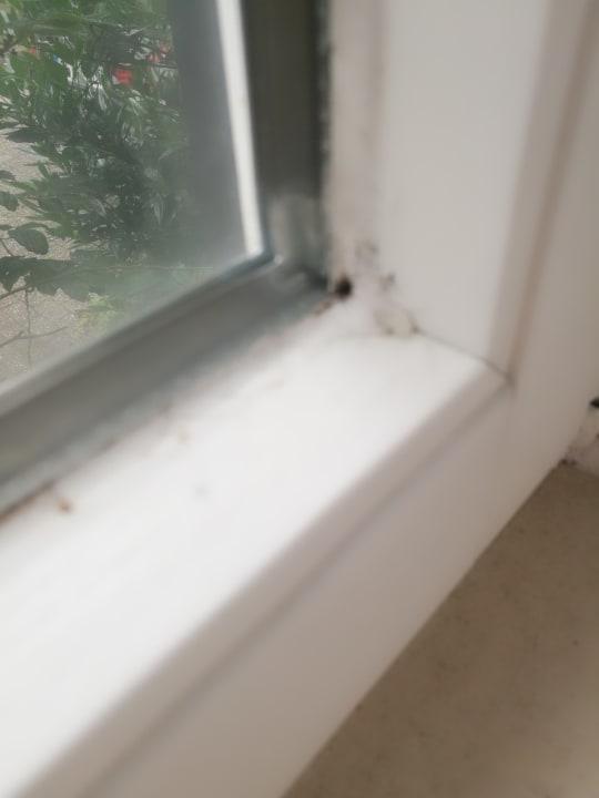 Zimmer Vila Vita Burghotel Dinklage