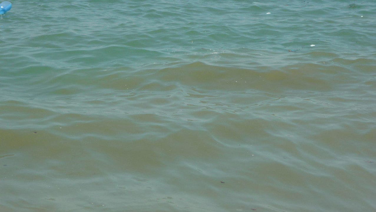 Dreckiges Waser mit Müll Büyük Hotel