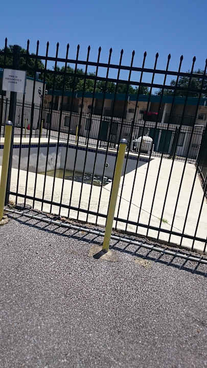 Mosquito trap Hotel Western Inn Pensacola