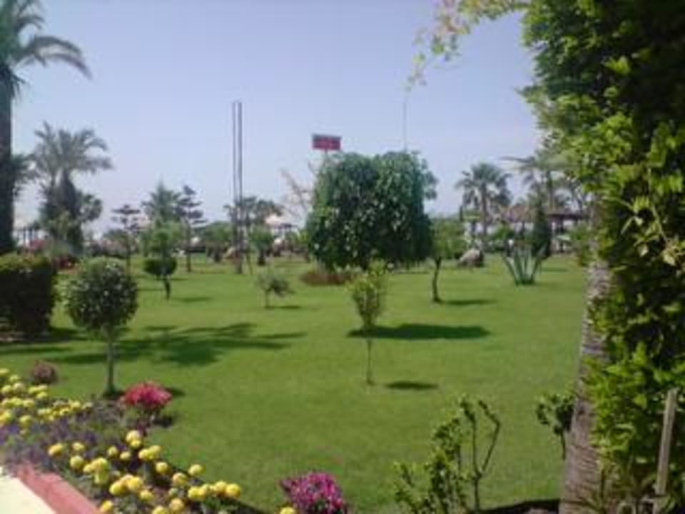 Gartenanlage  Saphir Resort & Spa