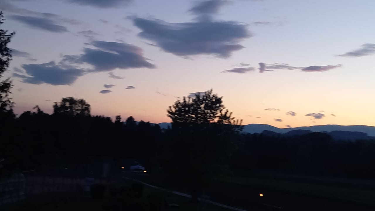 Ausblick Wilfinger Ring Bio Hotel