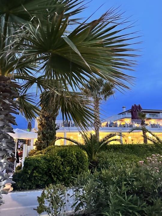 Gartenanlage Palm Wings Kusadasi Beach Resort & Spa