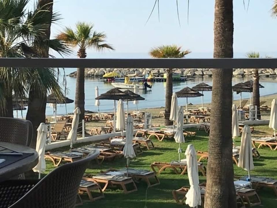 Gartenanlage The Golden Bay Beach Hotel