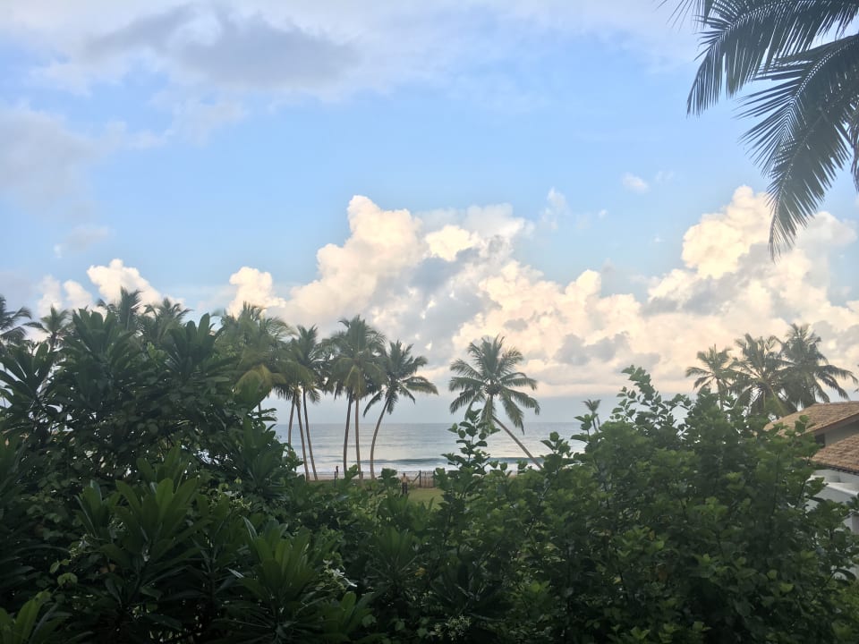 Aussicht aus dem Zimmer ANANDA Ayurveda Resort