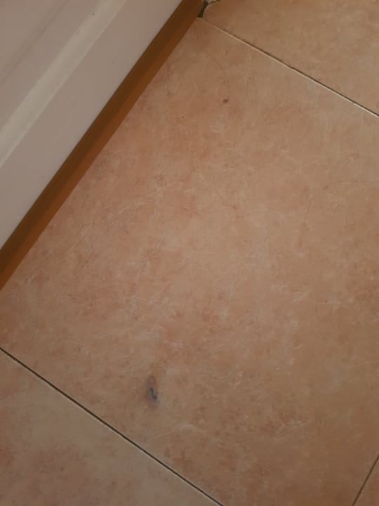 Zimmer Hotel Oasis Dunas