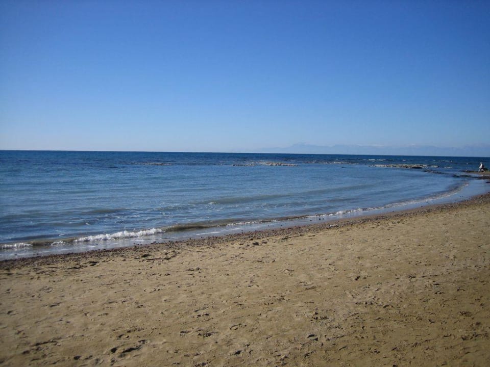 Strandmotiv PALOMA Perissia